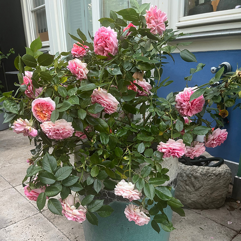 header startseite 03